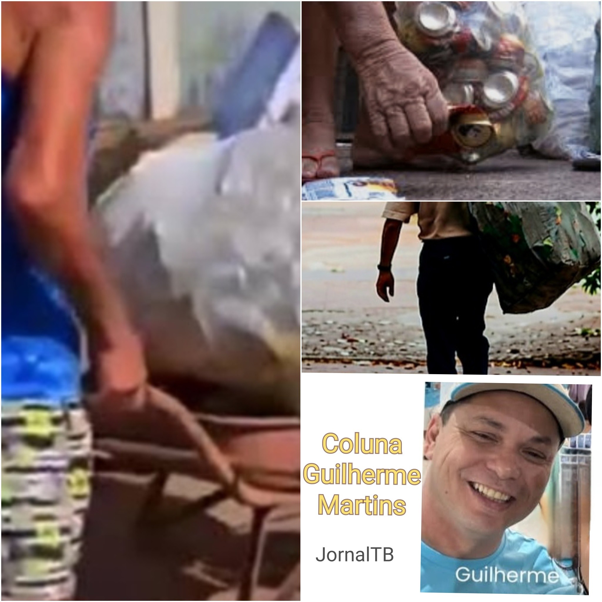 Coluna do Guilherme Martins